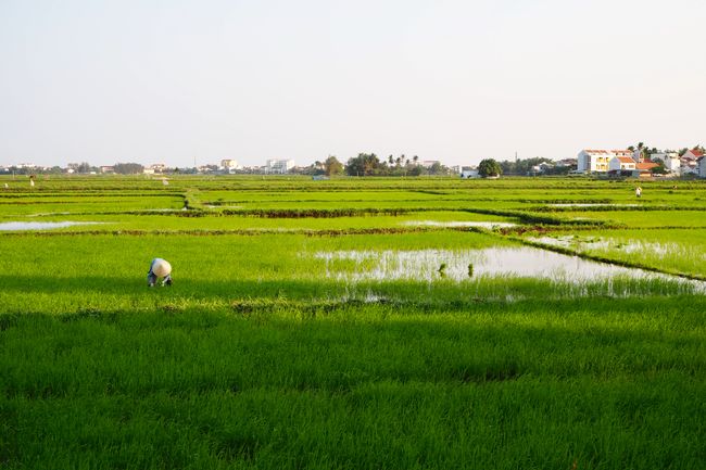 Fahrradtour aufs Land, Reisfelder