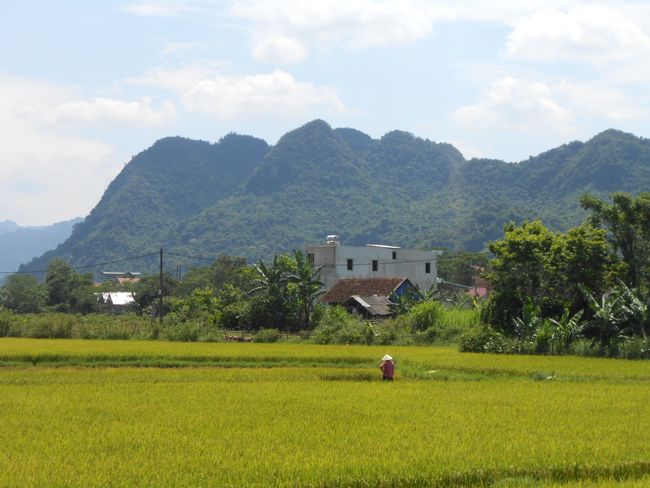 Die Hoehlen von Phong Nha