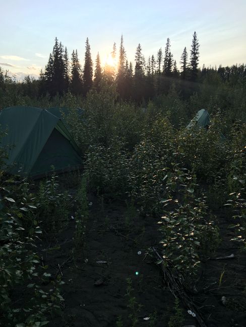 5-day canoe tour on the Athabasca River