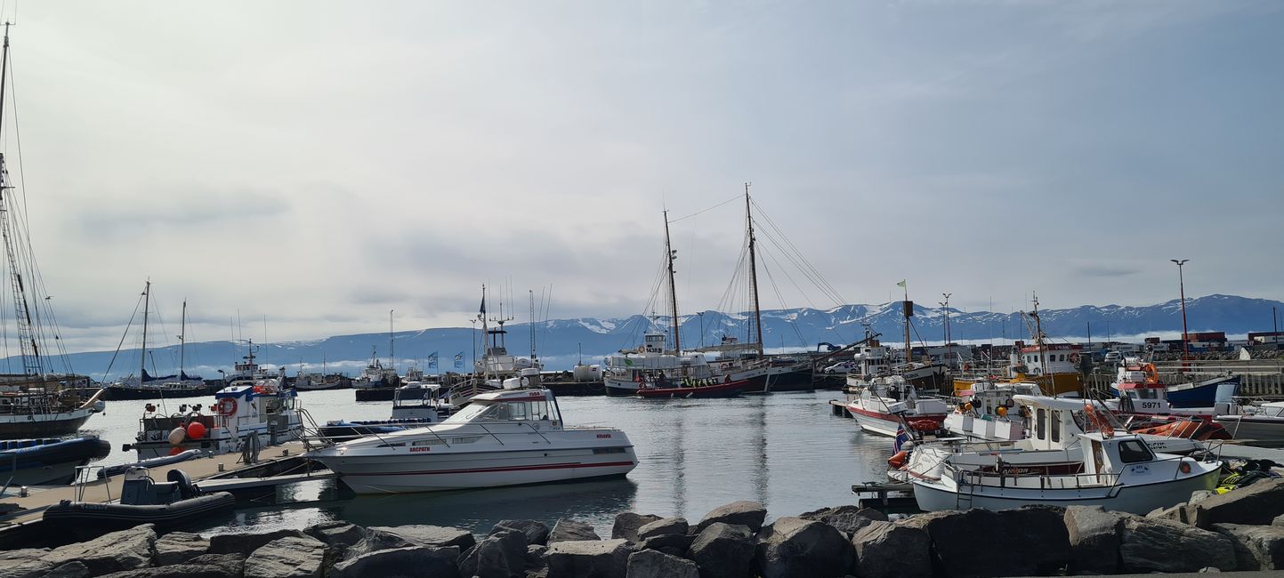 In the harbor of Húsavik, the boats for whale watching start from here