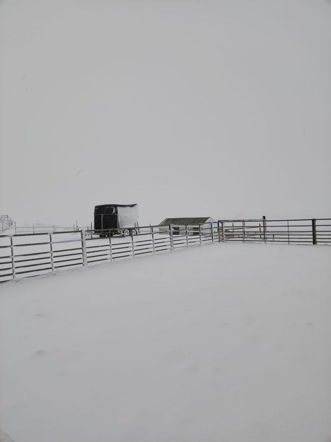 und nochmal Schnee