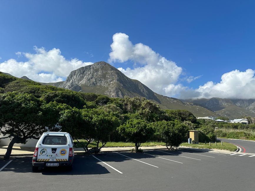 Hermanus ♥️