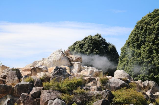 Geothermal hotspot in Rotorua
