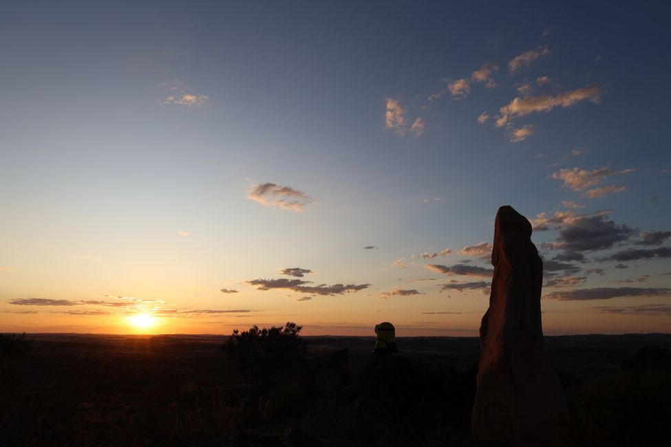 Stuart enjoys sunset at Living Desert State Park