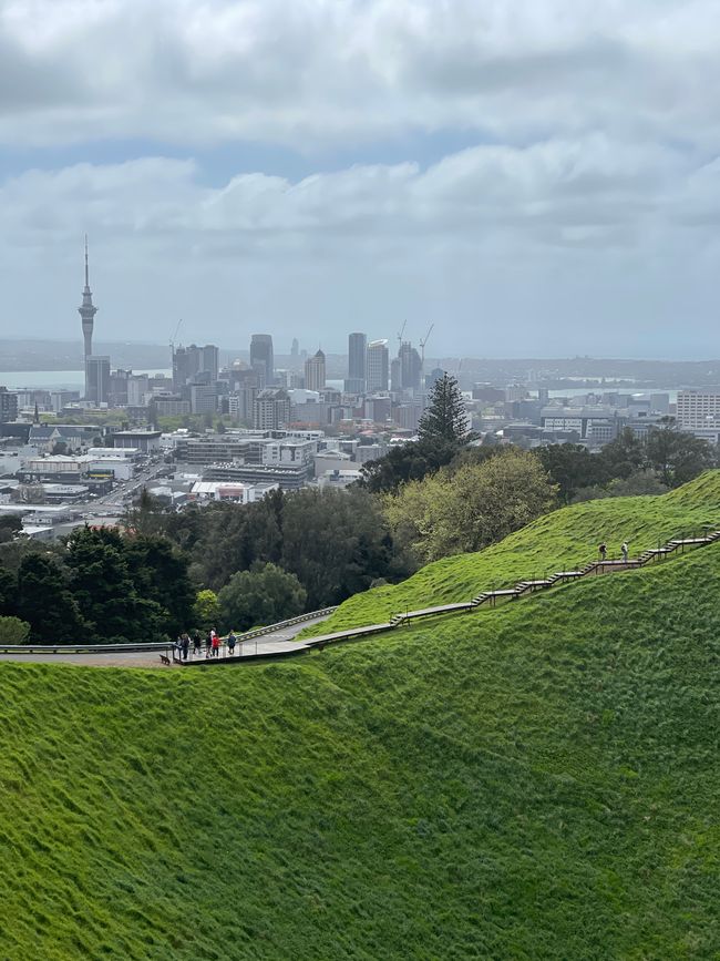 Woche 1 - Auckland