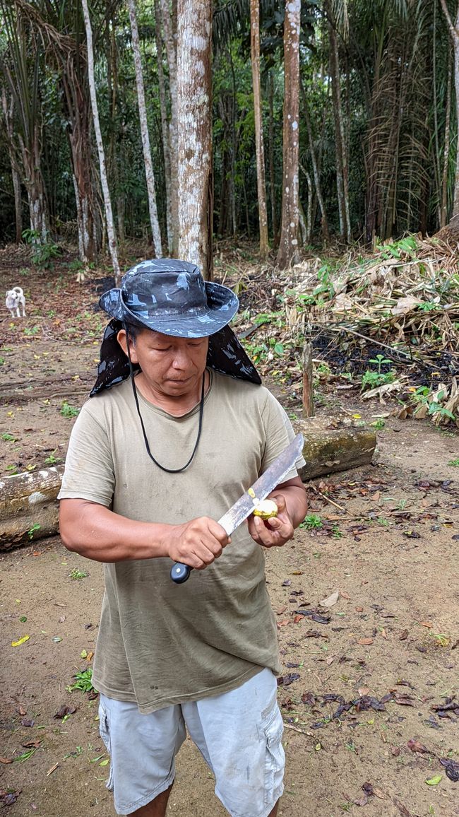 2. Día en la selva amazónica