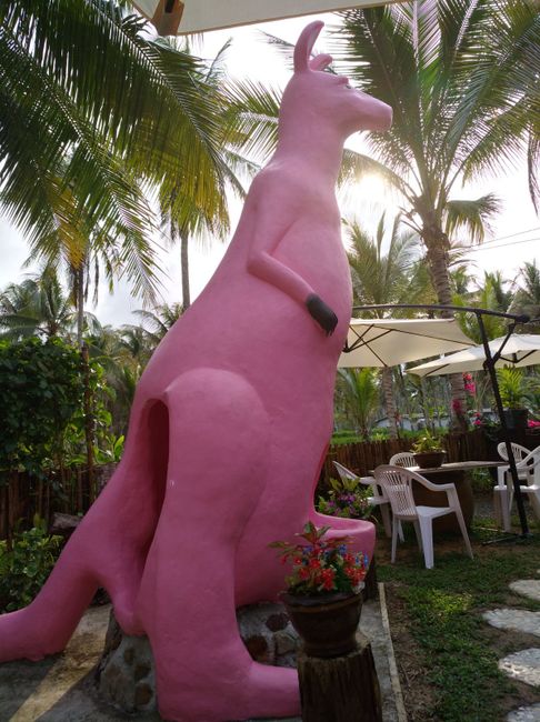 Pink kangaroo cafe