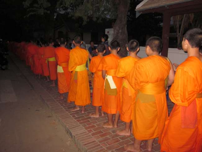 Allmorgendlicher Almosengang in Luang Prabang