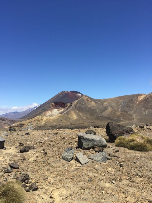 Family time Part 2 and the North Island of New Zealand