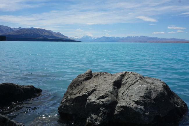 Lake Pukaki&Tekapo und Mount Cook