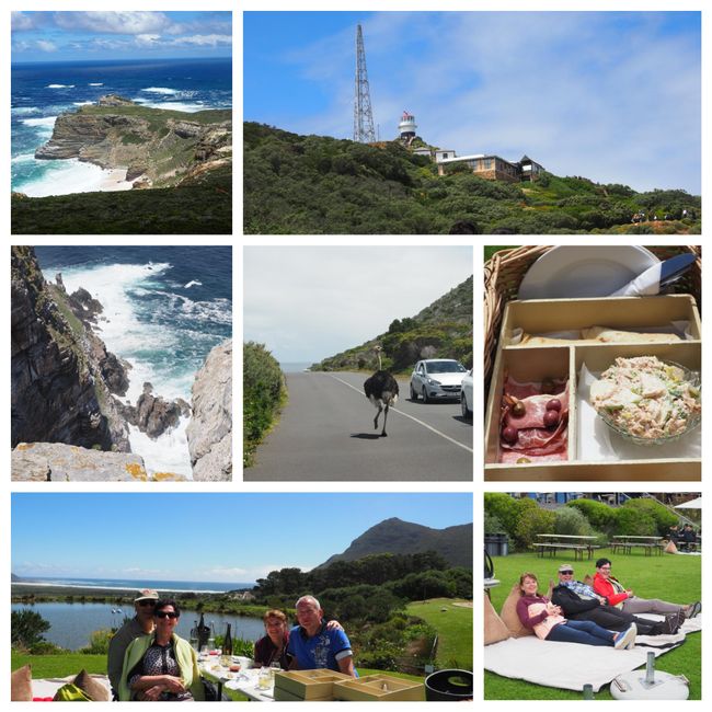 Cape Point and picnic at Cape Point Vineyards