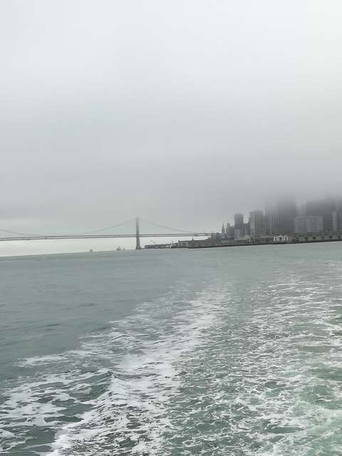 San Francisco - Back in civilization 😜