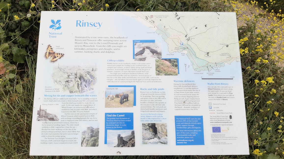 Rinsey Head