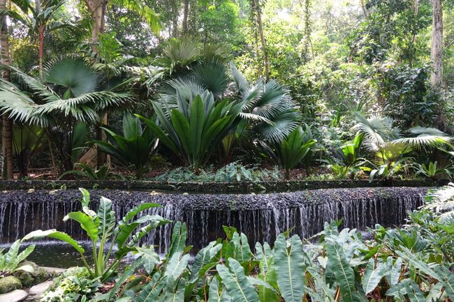 Day 206 Der botanische Garten und little India