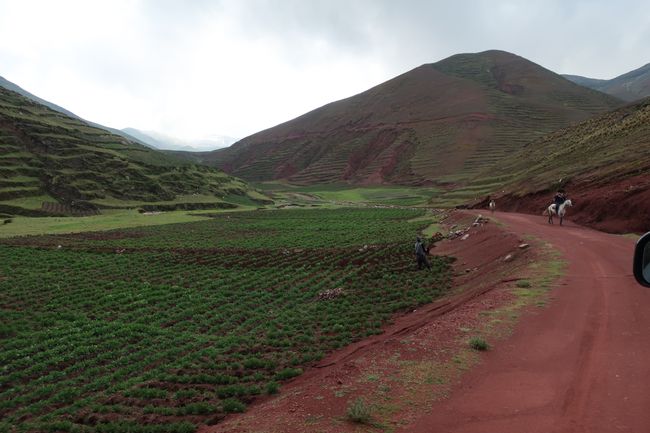 Mountain Rainbow - Palccoyo (Perù)