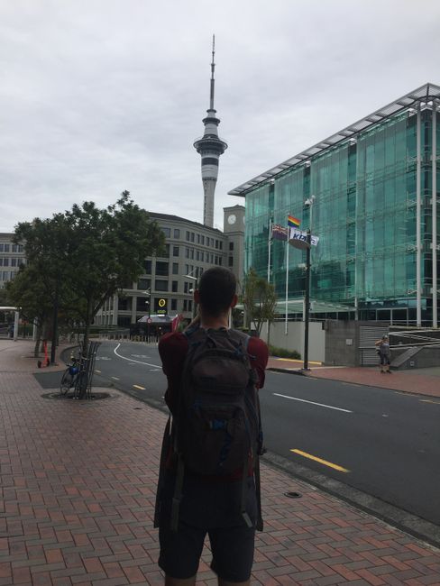 Auckland ti