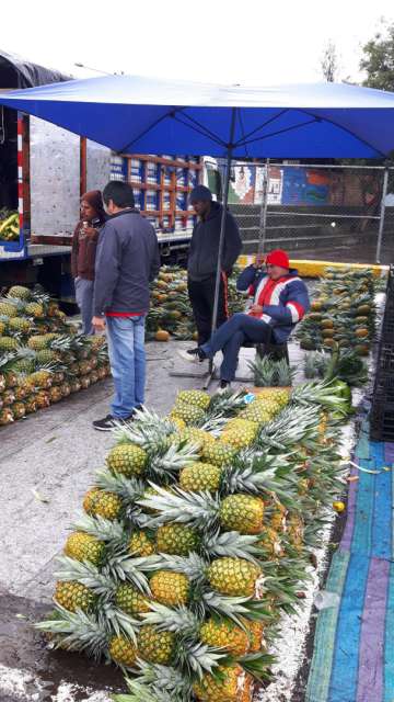 the man on the chair approached me and asked where I'm from, etc. - he's originally from Spain and lived near Lausanne for a while and then in England for a long time. Then the stress got to him, and he emigrated to his wife's country, Ecuador, where he calmly grows pineapples on his finca - voilà