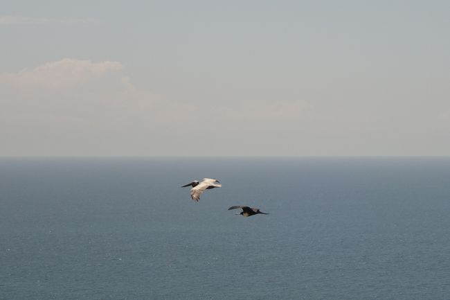 Pelikane und Fregattvögel drehen hier ihre Runden. 