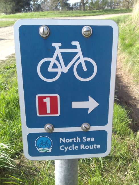 Bicycle Path Markings in DK