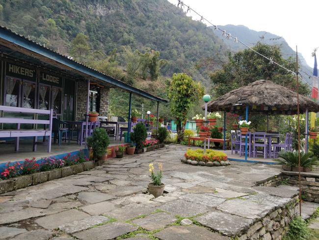 Lodge Ngadi Bazar