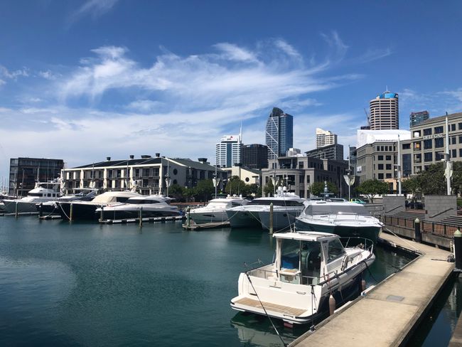 1. Auckland-City-Eindrücke (Von der Wohnung zur Yacht)