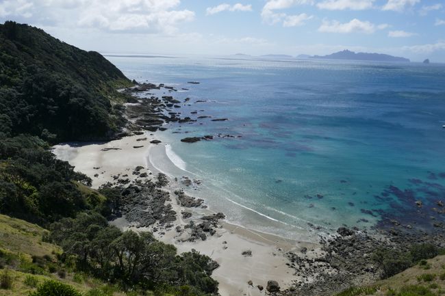 Neuseeland Part 1: Auftakt