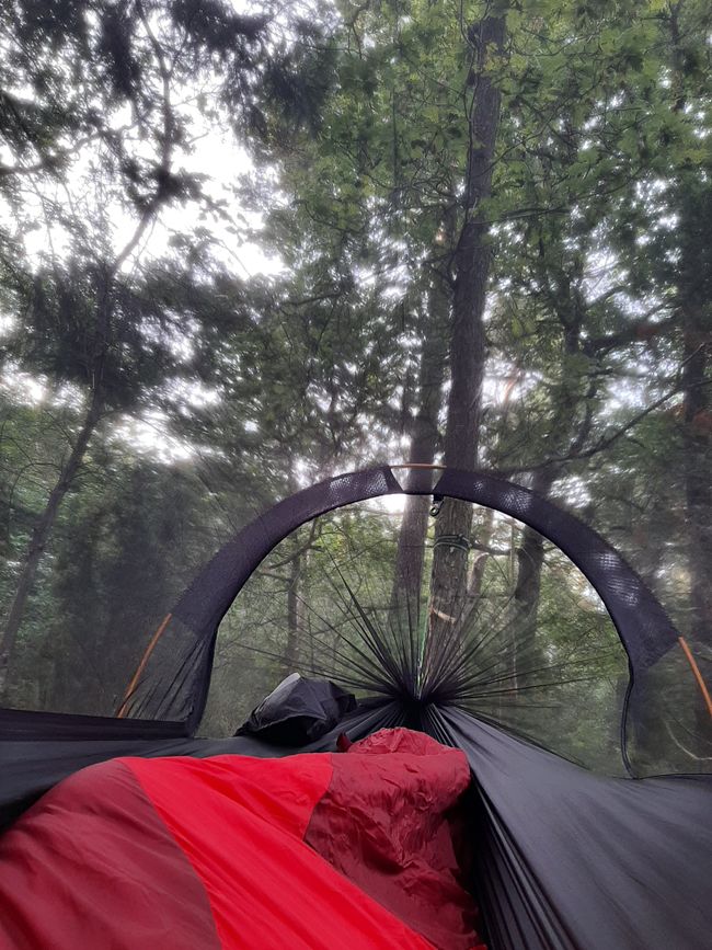 View from hammock at camping spot
