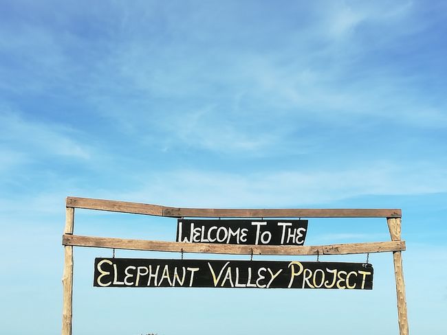 Elephant Valley - A Day Chasing Elephants