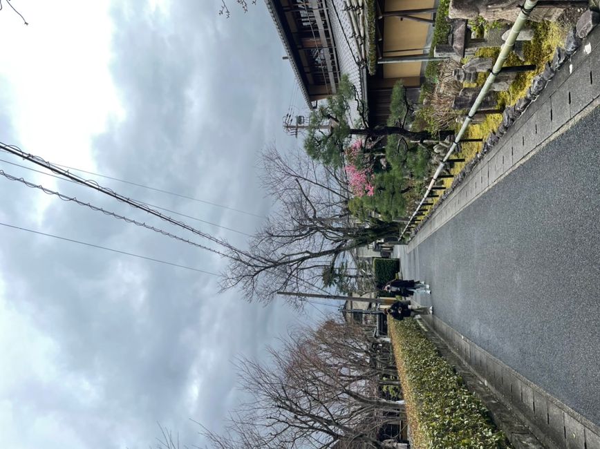 Day 6 (Kyoto)