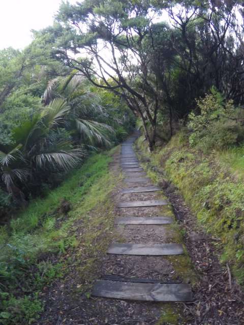 800 steps to the lighthouse