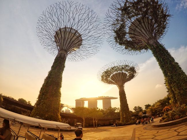 Garden by the Bay
