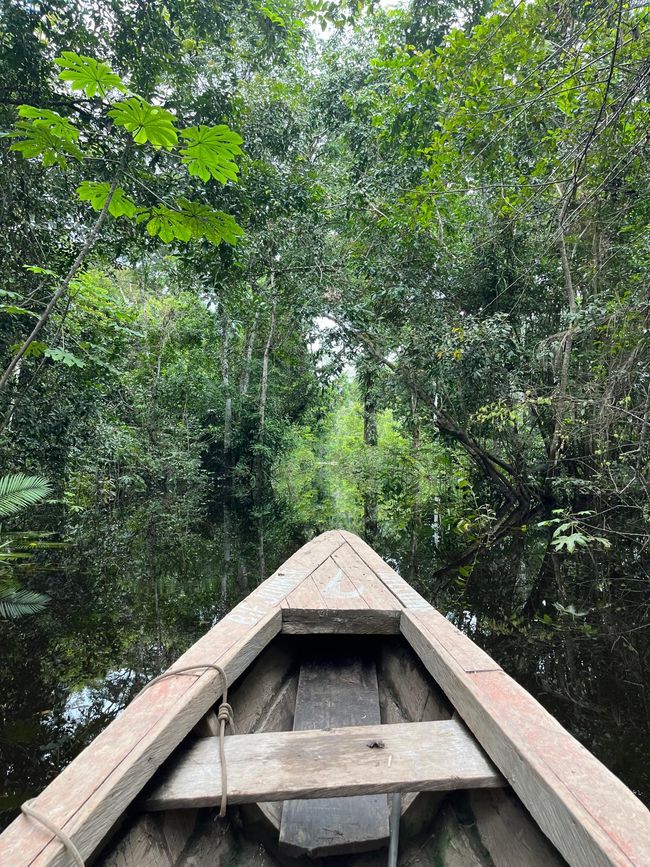 Our Jungle Camp - Iquitos in the Amazon region