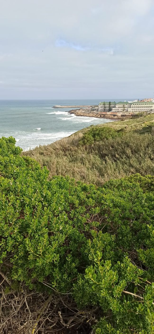 Enjoying Ericeira