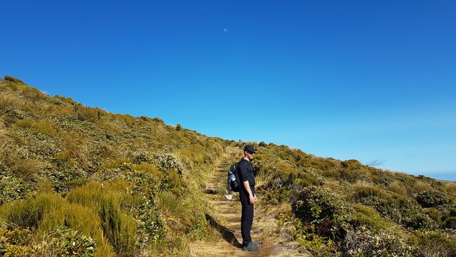 From Wellington to Mount Egmont