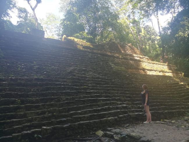 Tropische Hitze in Palenque