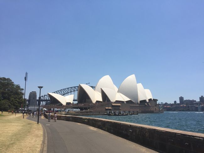 Chapter 4: Sydney, New Year's Eve, and Family Time
