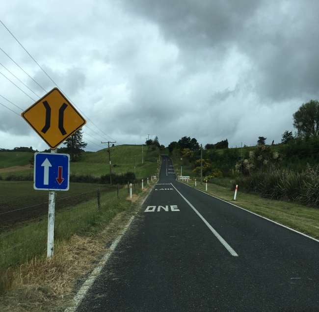 Intermezzo - Driving in New Zealand