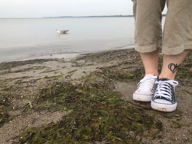 Feet with seagull