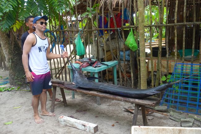 Philippinen, Insel Siargao - „Gute Freunde kann niemand trennen“