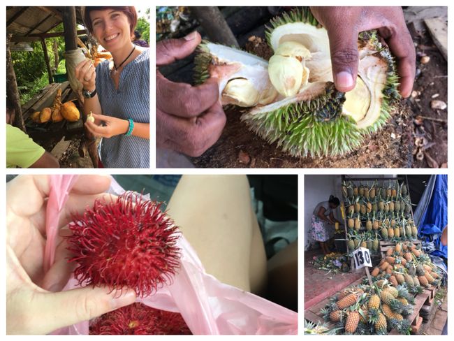 Sogar die beruehmt/beruechtigte 'Stinkfrucht' Durian haben wir probiert. War gar nicht 'soo schlimm' aber trotzdem nichts was ich jeden Tag essen muesste