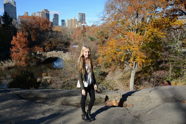 Central Park - Autumn