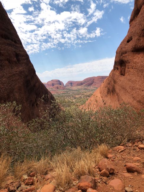 Panorama Kata Tjuta (muchas cabezas)