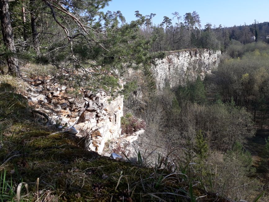 Der Steinbruch hinter dem Staudenhof.