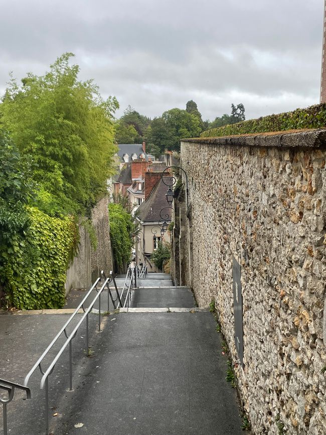 Frá Loire til Aubigny sur Nère, dagur 11