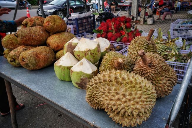 Von rechts nach links: Durian, Kokosnuss, Jackfruit (und das rote Obst hinten sind Rambutan) 