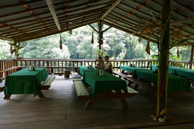 Umgeben von Dschungel haben wir dann die Lodge von Rios Tropicales erreicht. Kein Handyempfang und kein W-LAN. Und natürlich keine Glasfenster, weder im Speisesaal noch in den Zimmern, da es sowieso durchgehend warm ist.