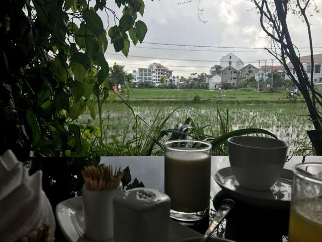 Breakfast at the rice field