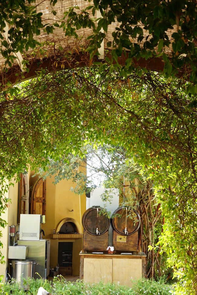 Cucinare, bere, godere