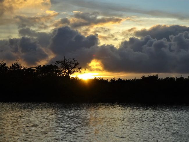 The sun sinks into the mangroves
