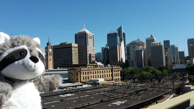 Hello Sydney!